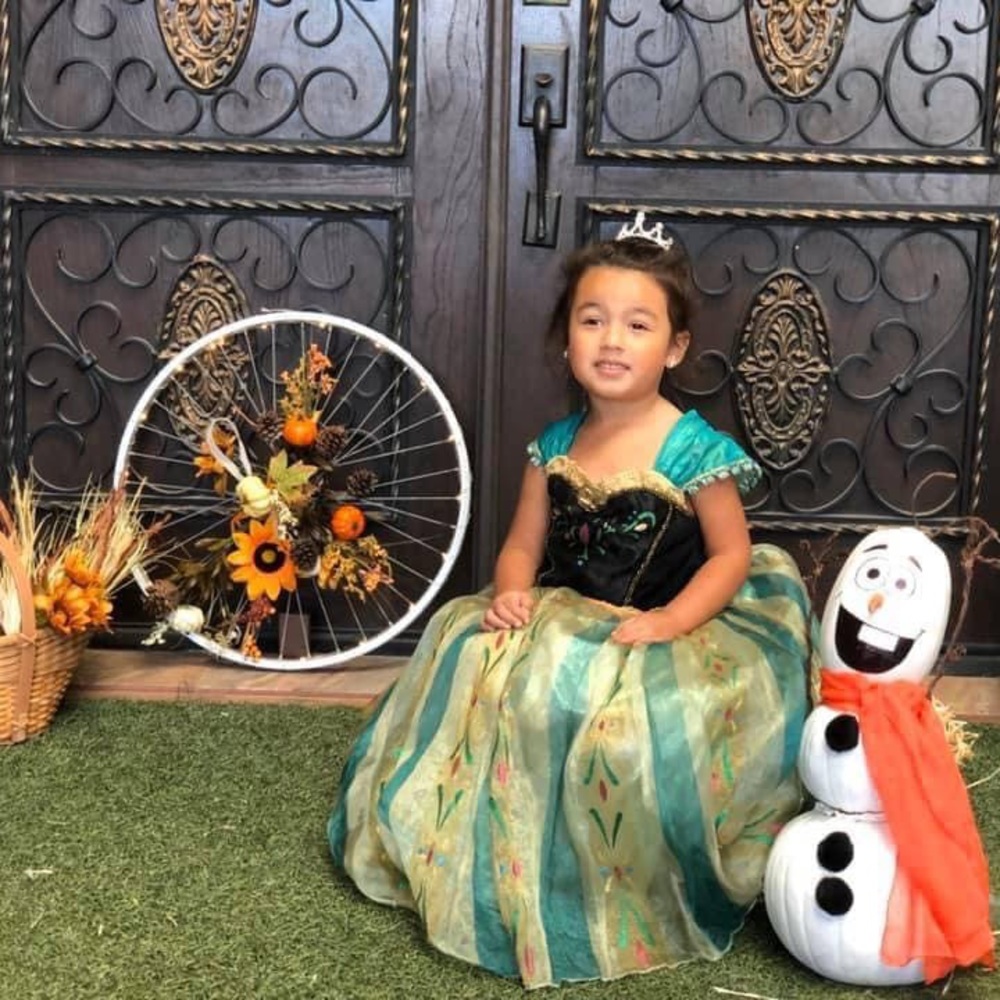 Ana frozen dress